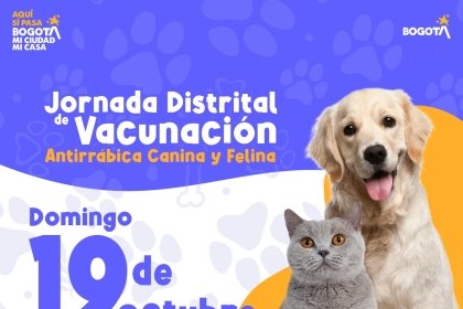 Jornada Distrital de Vacunación Antirrábica Canina y Felina – 19 de octubre
