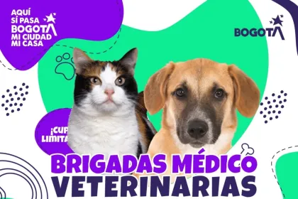 pieza gráfica de Brigada médica veterinaria
