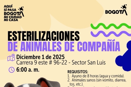 pieza gráfica evento 