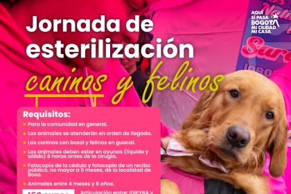 Jornada de estilización