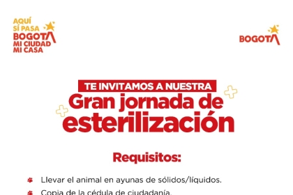 Pieza oficial de la jornada