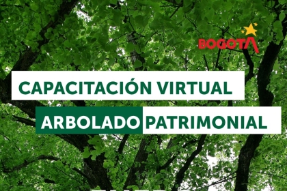 capacitación virtual arbolado patrimonial