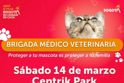 Brigada Médico Veterinaria