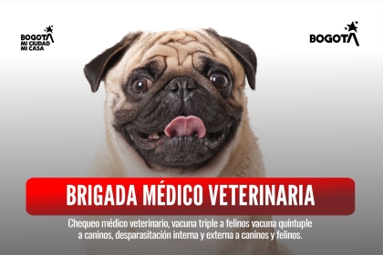 Brigada médico veterinaria