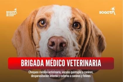 Brigada médico veterinaria