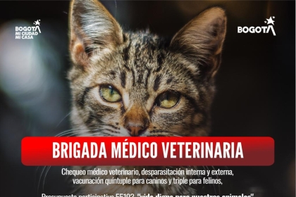 Brigada médico veterinaria
