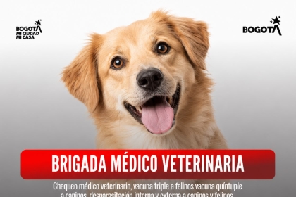 Brigada médico veterinaria