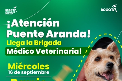 Brigada Médico Veterinaria