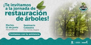 Jornada de Restauración de árboles