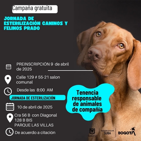 Pieza gráfica Jornada de esterilización para caninos y felinos en Suba
