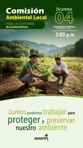 Comisión Ambiental Local