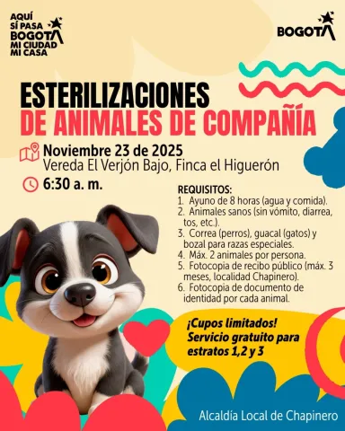 Pieza gráfica sobre brigada medico veterinaria