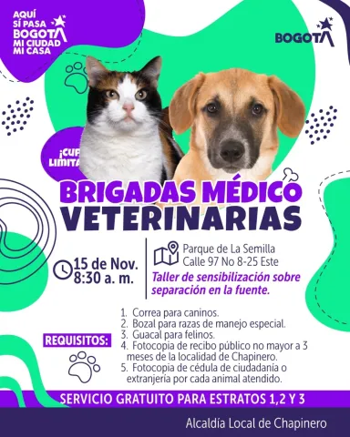 pieza gráfica de Brigada médica veterinaria