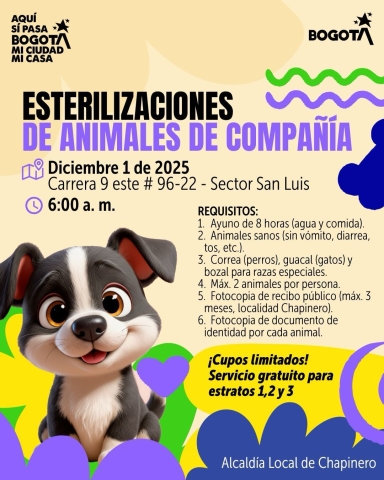 pieza gráfica evento 