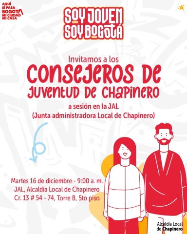 pieza gráfica sobre jornada de Consejos de Juventud