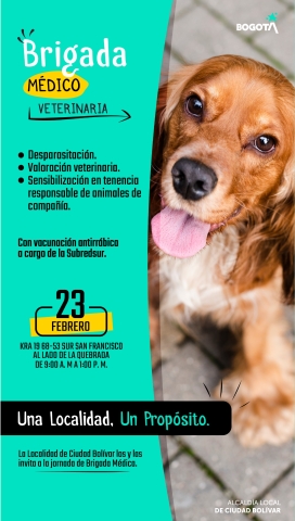 Brigada médico veterinaria