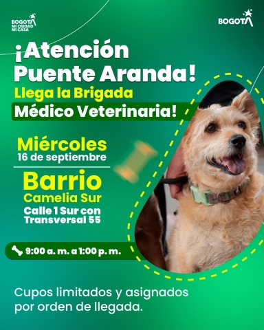 Brigada Médico Veterinaria