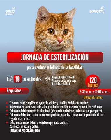 Jornada de esterilización