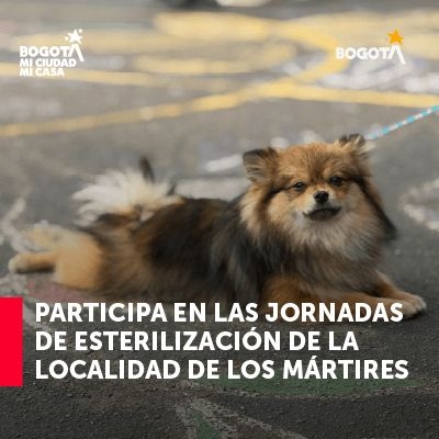 Jornadas de esterilización gratuitas 