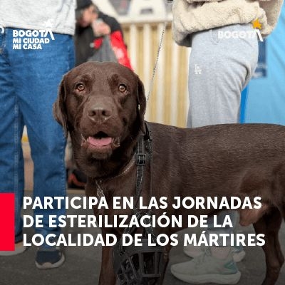 Jornada de esterilización 