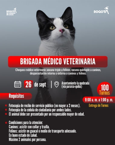 Brigada médico veterinaria