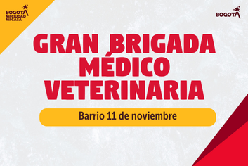 brigada-medico-veterinaria-en-barrios-unidos-barrio-11-de-noviembre