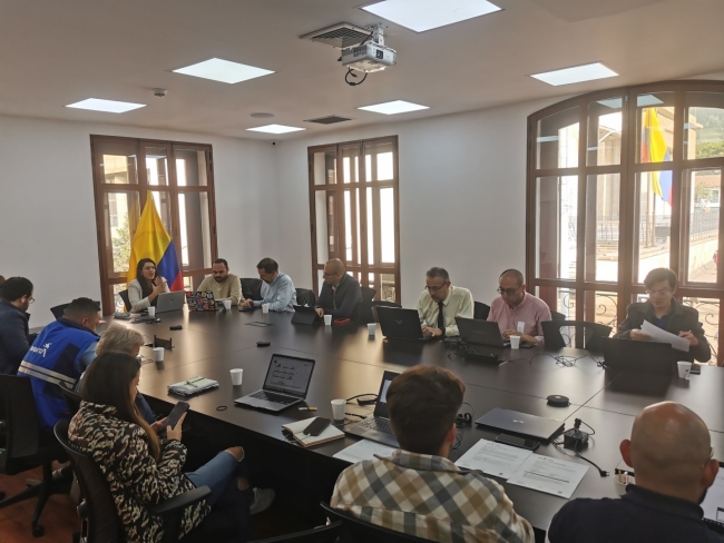 Comité civil de convivencia