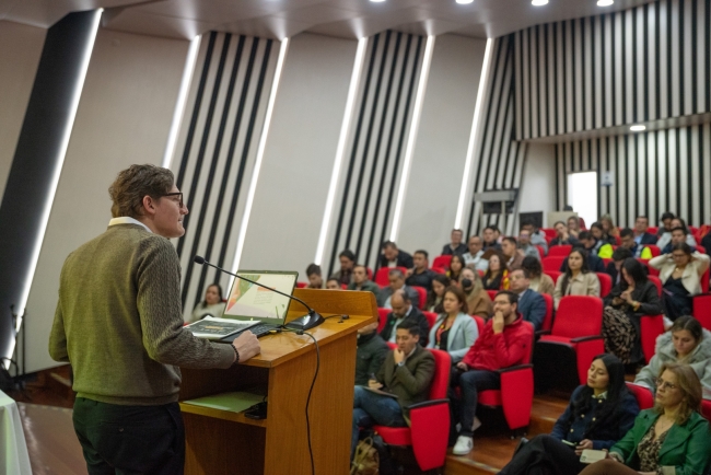instalación elección consejos