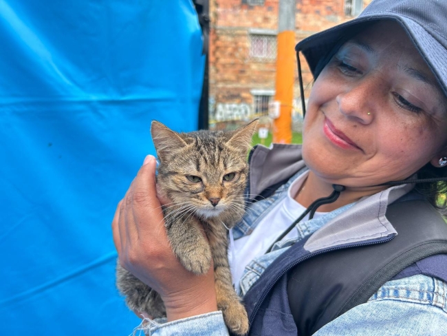 Esterilizaciones a perros y gatos en el Barrio El Rubi 