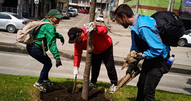 Día del árbol impulsa recuperación ambiental en Los Mártires