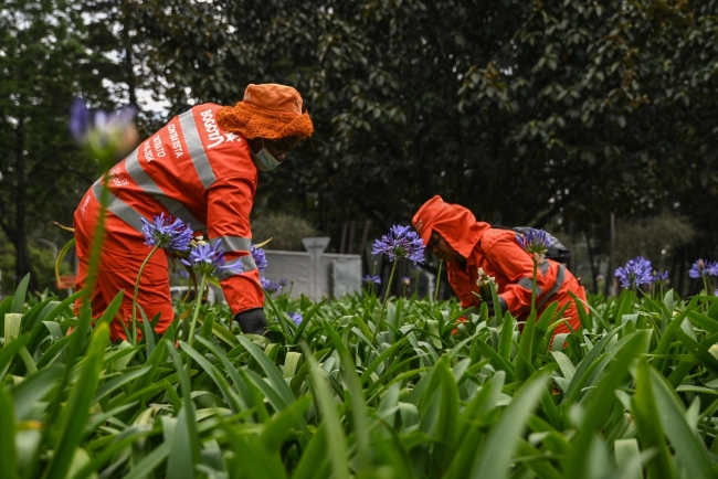Foto tomada por Ever Mercado