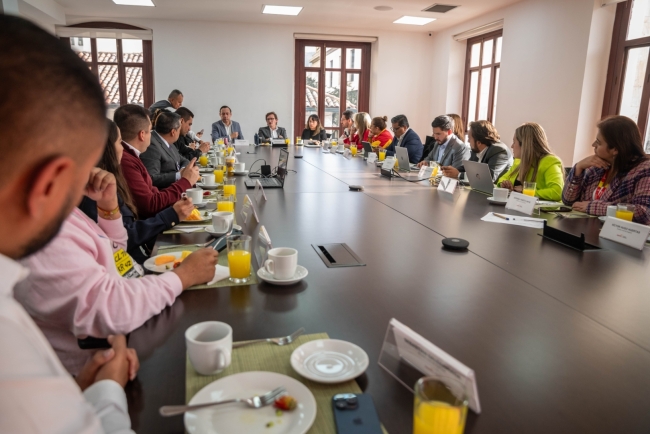 Consejo de Alcaldesas y Alcaldes Locales