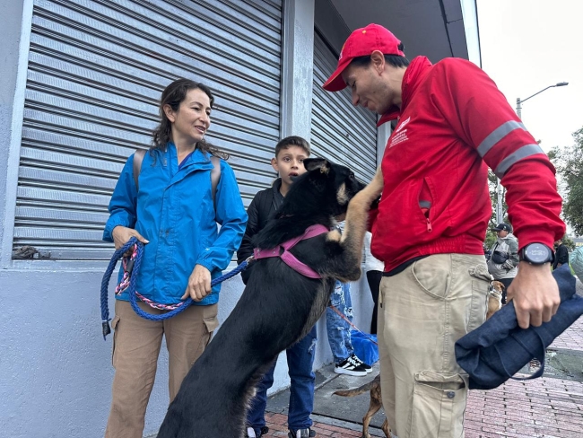 Alcaldía Local de Antonio Nariño impulsó en enero acciones clave de protección y bienestar animal