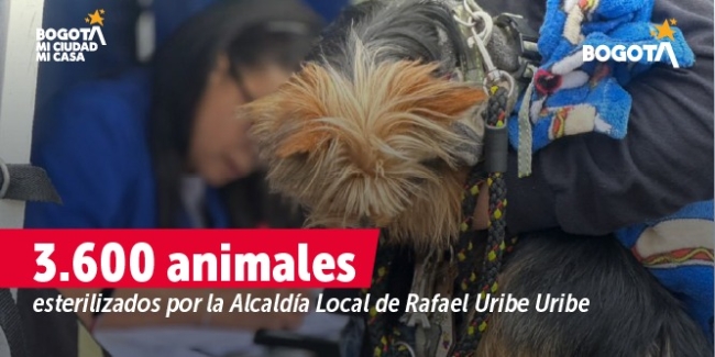 Animales de Rafael Uribe Uribe beneficiados por proyecto de Protección y Bienestar Animal