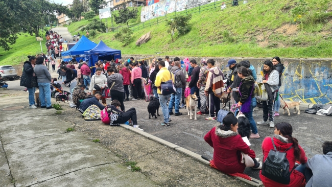 Ciudad Bolívar prioriza el bienestar animal con más de 2.000 esterilizaciones en 2025