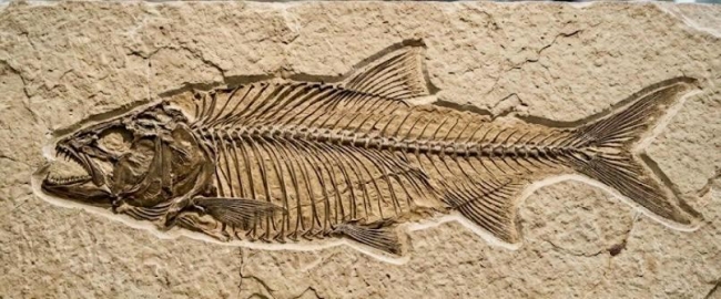 Ecos de Gigantes llega a La Candelaria