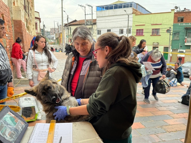 Las inscripciones para candidatos, candidatas y votantes estarán abiertas desde el 26 de marzo hasta el 12 de abril y se realizarán de manera virtual mediante formularios habilitados por la alcaldía local. 