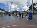 Jornada de esterilización atendió a 161 animales en el parque Carlos E. Restrepo