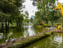 Ciudadanía podrá participar en el Concurso Fotográfico Ambiental de Puente Aranda