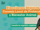 Aviso convocatoria para elecciones del Consejo Local de Protección y Bienestar Animal de Barrios Unidos 2026