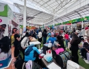 Jornada de Adopción animal en Usme